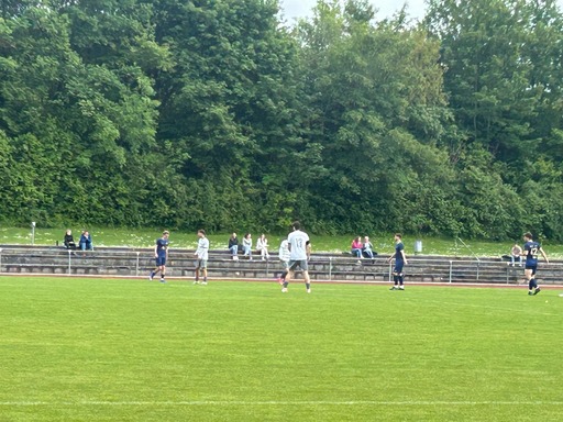 KSV Reichelsheim-VfL Michelstadt 0:2 (0:0)